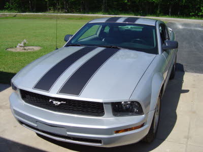 Matte Black SS Stripes on Mustang