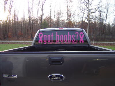 Large Got Boobs? Window Decal, Breast Cancer Awareness Decals, Boobs, Breasts, Tits, Graphics, Decals, Lettering